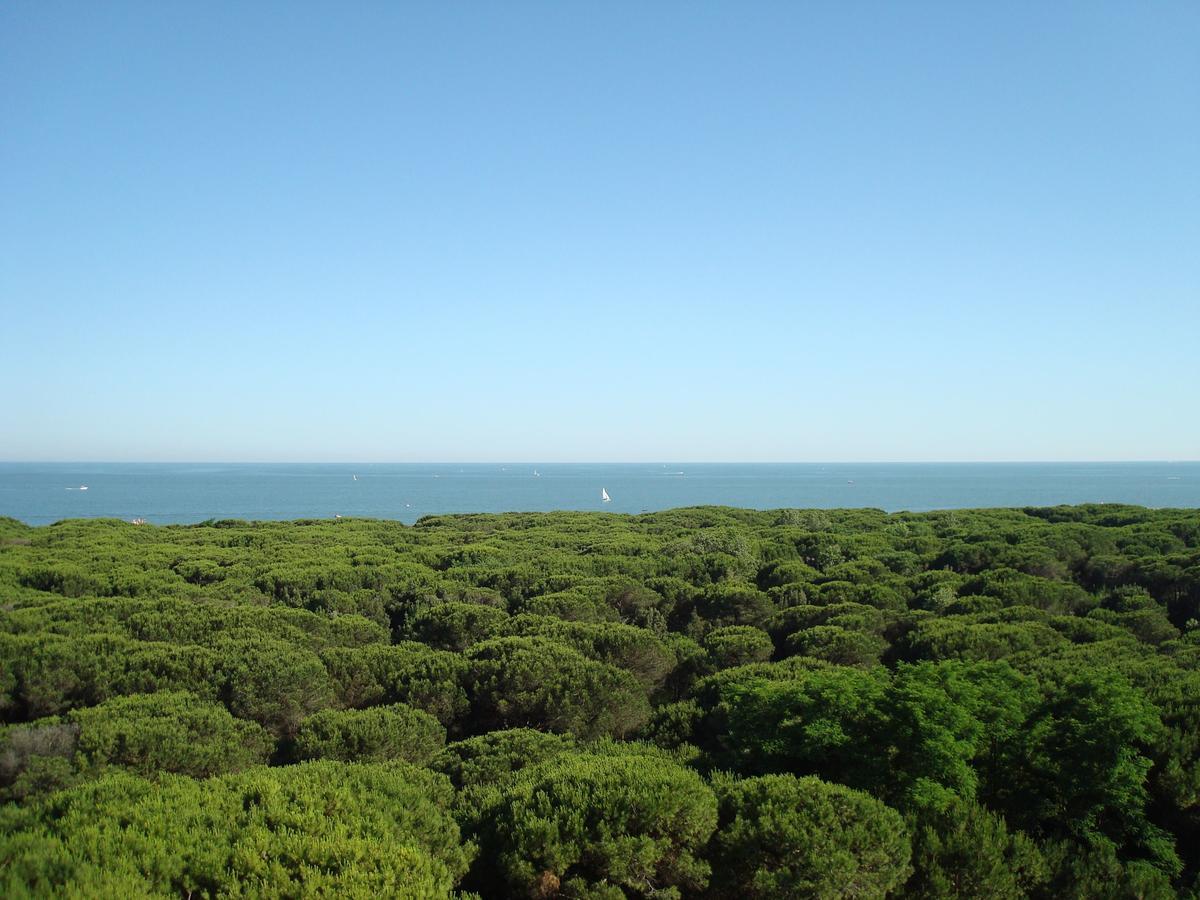Hotel San Giorgio Milano Marittima Extérieur photo